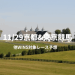 11_29京都東京競馬_20251129_103033_0000.png