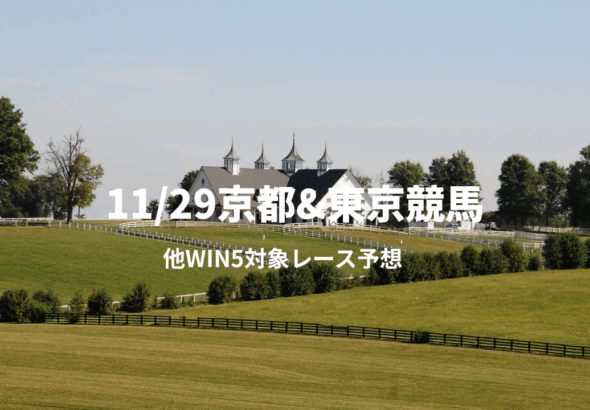 11_29京都東京競馬_20251129_103033_0000.png