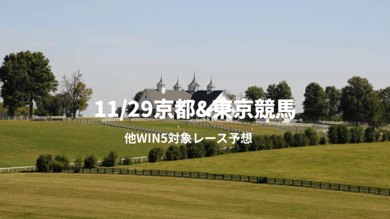 11_29京都東京競馬_20251129_103033_0000.png