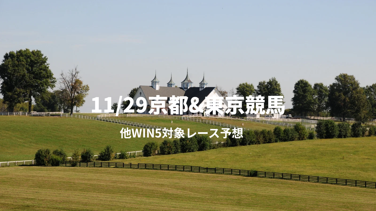 11_29京都東京競馬_20251129_103033_0000.png