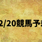 12_20競馬予想_20251220_134817_0000.png