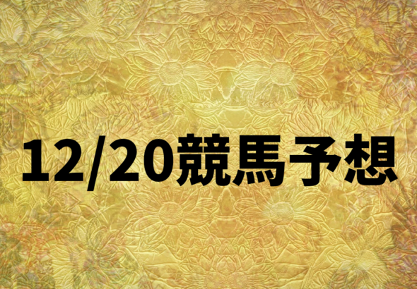 12_20競馬予想_20251220_134817_0000.png