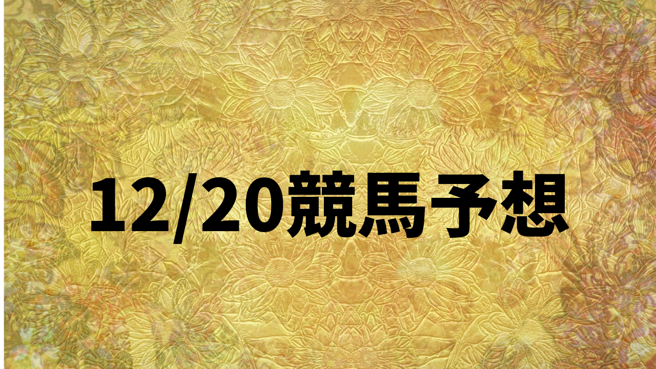 12_20競馬予想_20251220_134817_0000.png